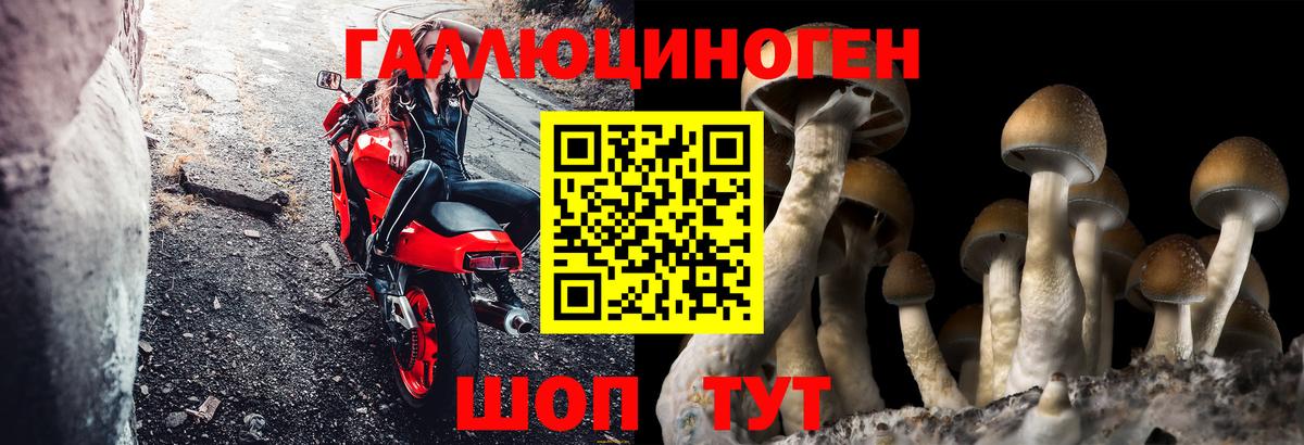 Галлюциногенные грибы прущие грибы Железногорск