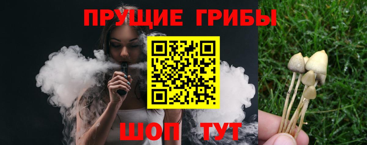 Галлюциногенные грибы прущие грибы  Псилоцибиновые грибы мицелий  Вход с VPN  Железногорск 
